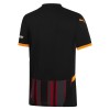 Officiële Voetbalshirt Galatasaray Derde 2024-25 - Heren